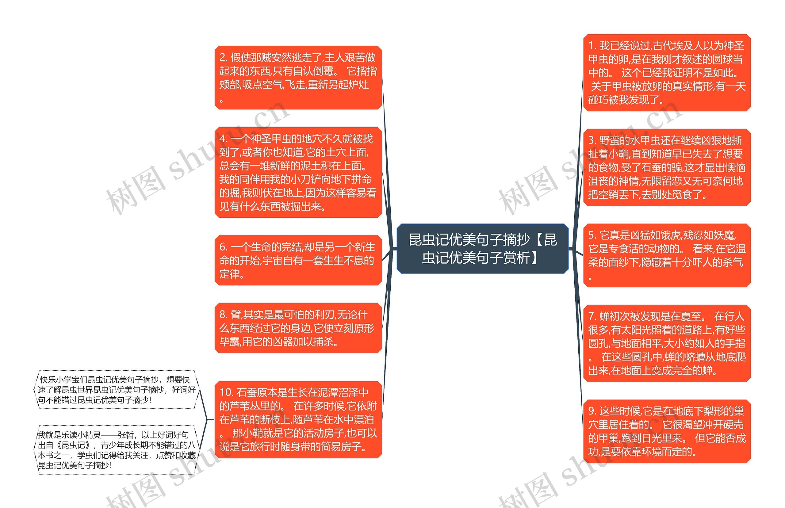 昆虫记优美句子摘抄【昆虫记优美句子赏析】思维导图