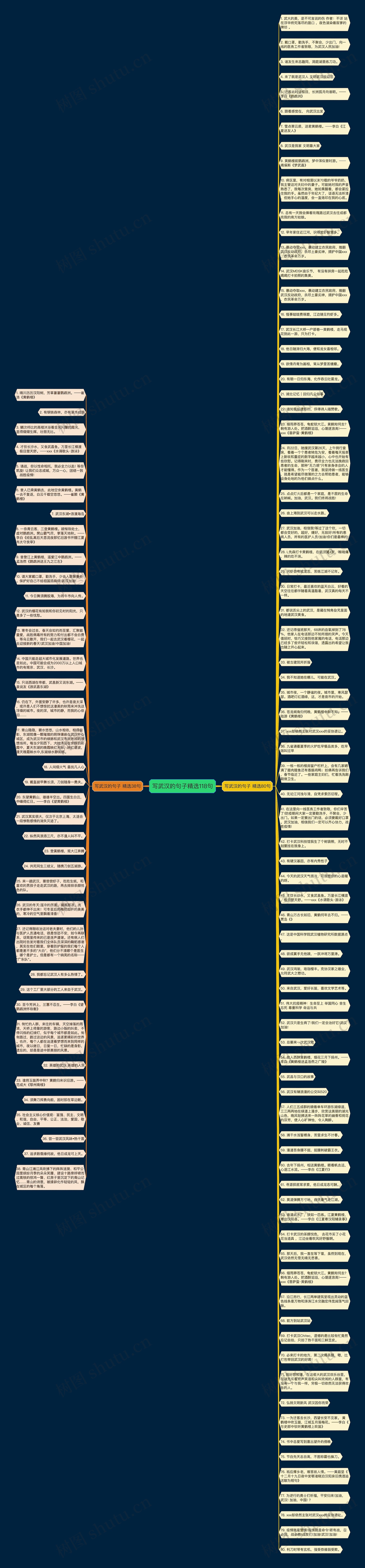 写武汉的句子精选118句思维导图