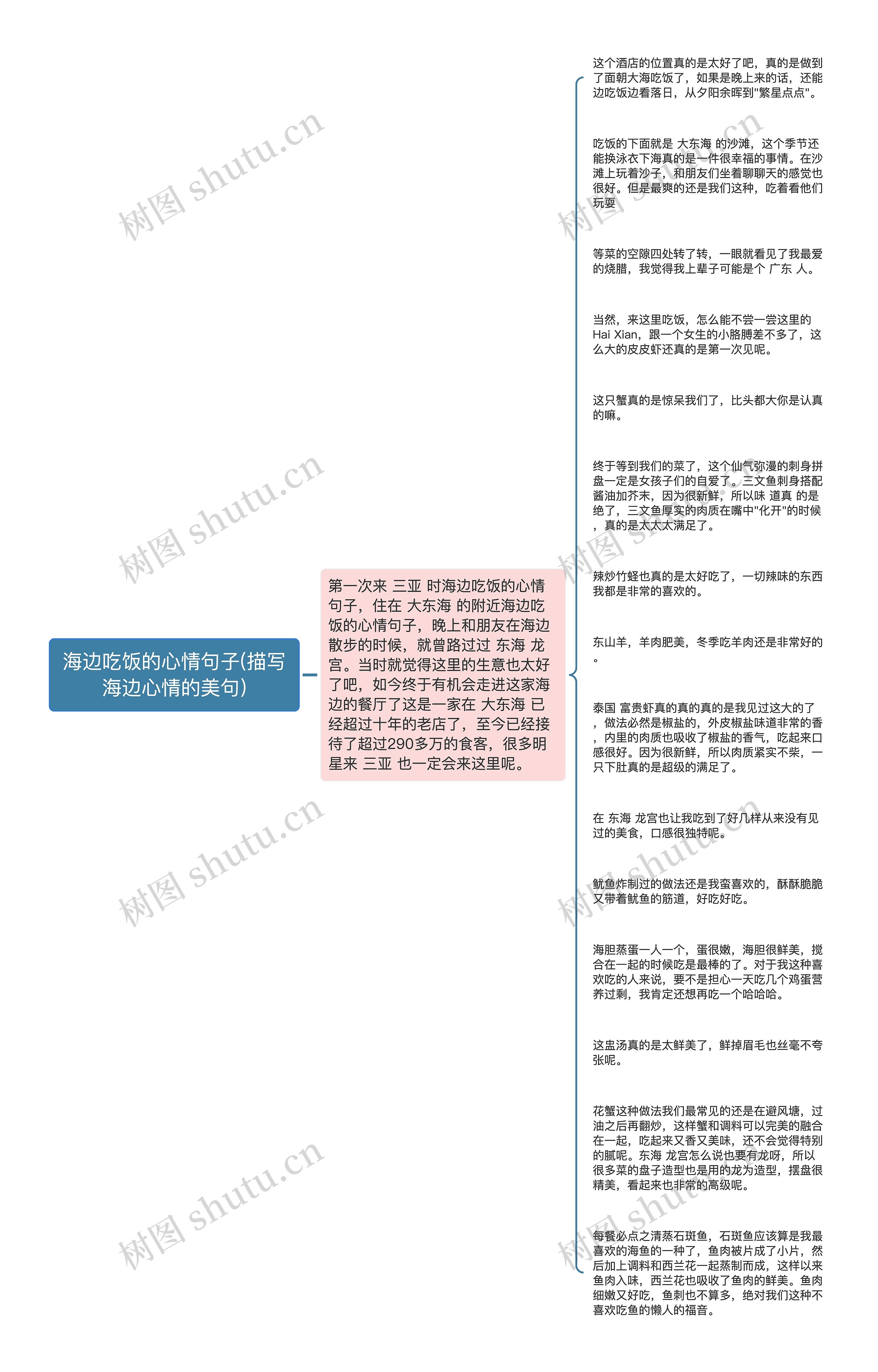 海边吃饭的心情句子(描写海边心情的美句)思维导图