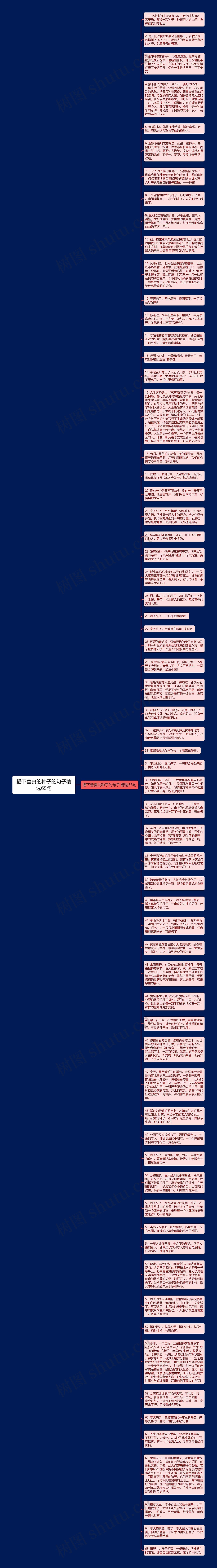 播下善良的种子的句子精选65句思维导图