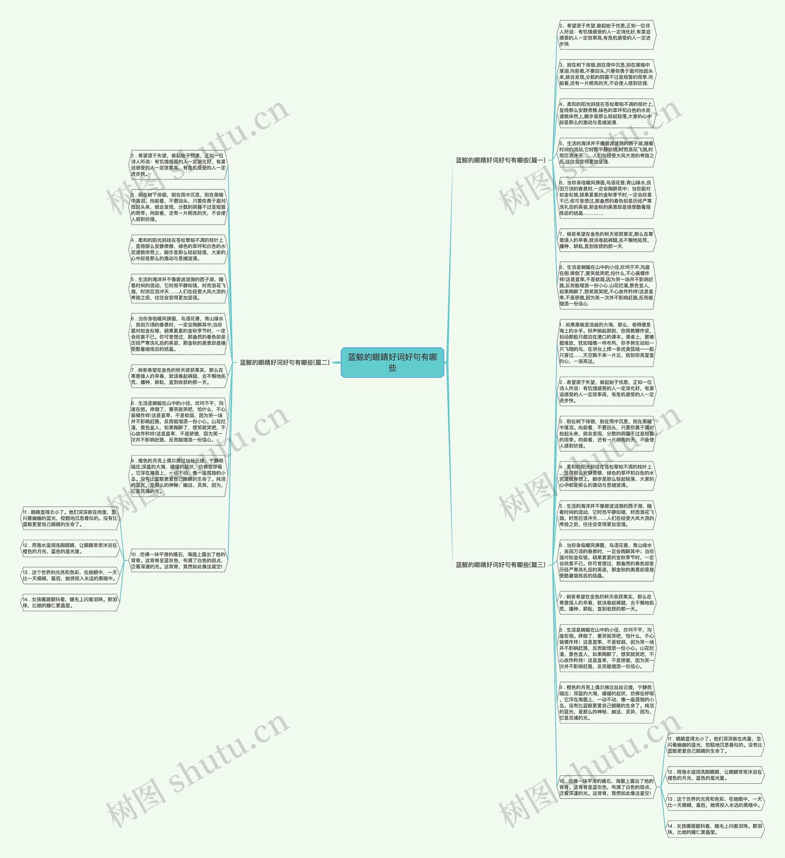 蓝鲸的眼睛好词好句有哪些思维导图