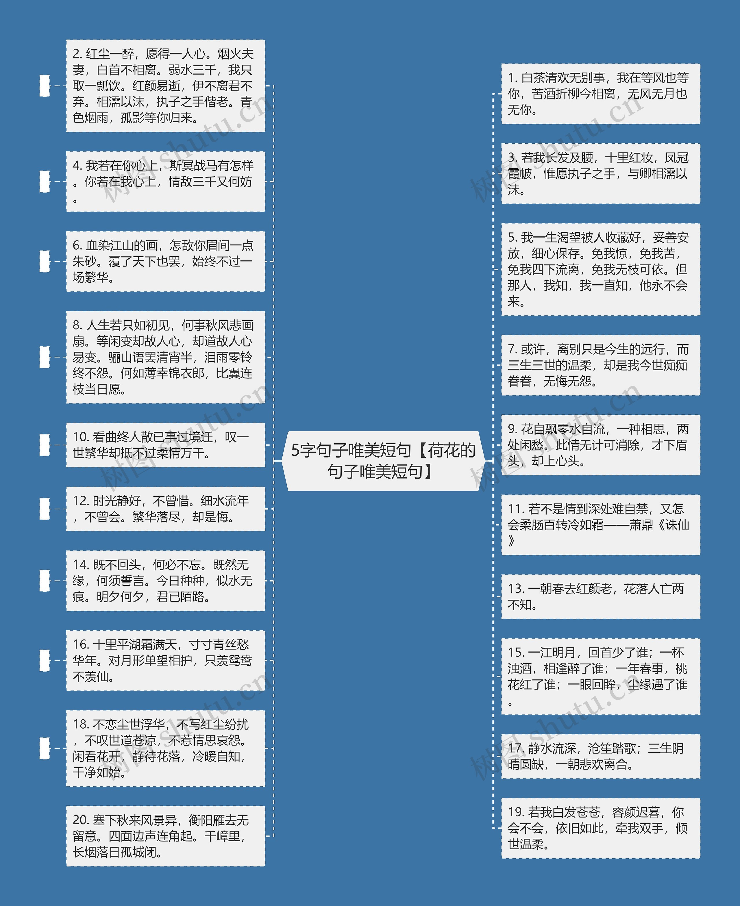 5字句子唯美短句【荷花的句子唯美短句】思维导图