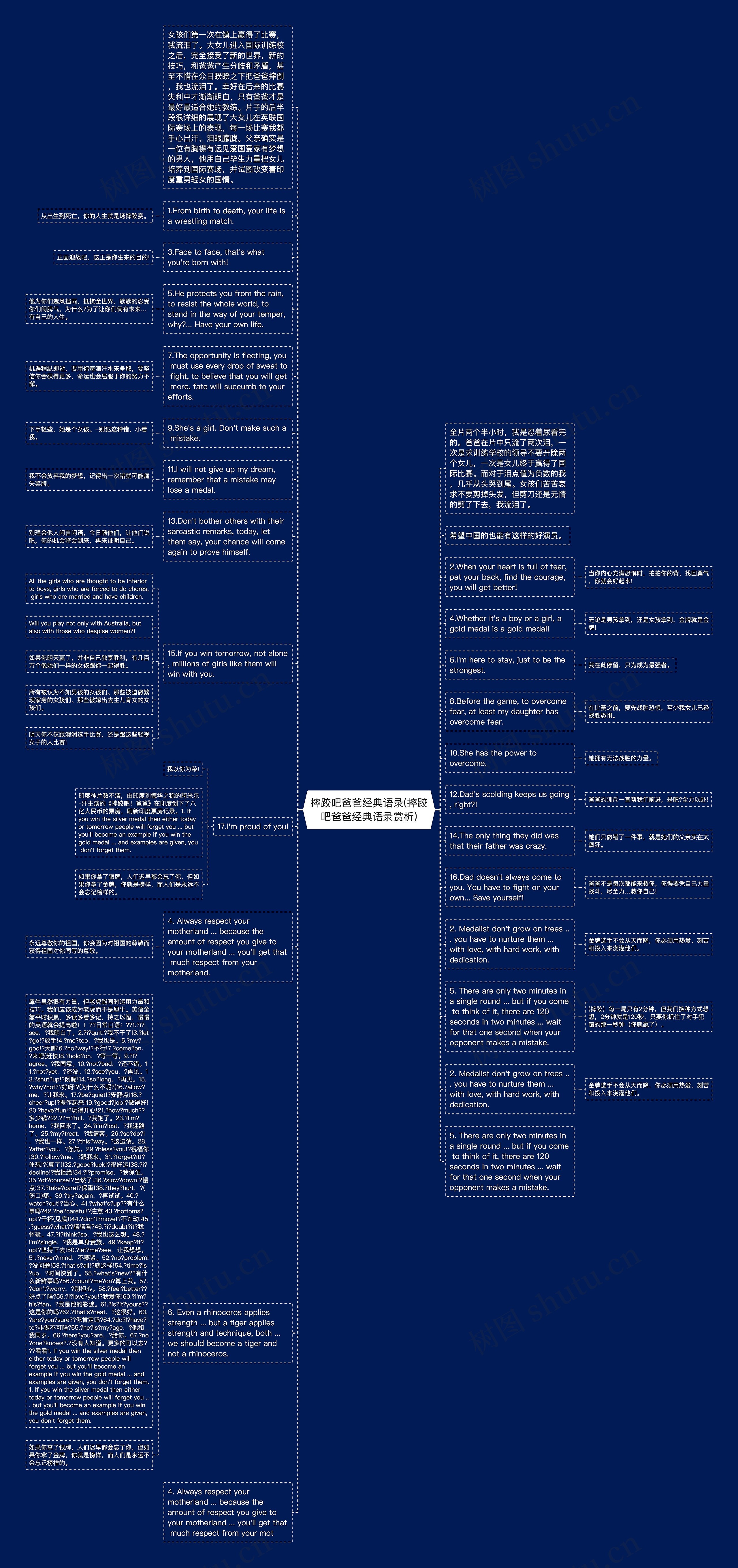 摔跤吧爸爸经典语录(摔跤吧爸爸经典语录赏析)思维导图