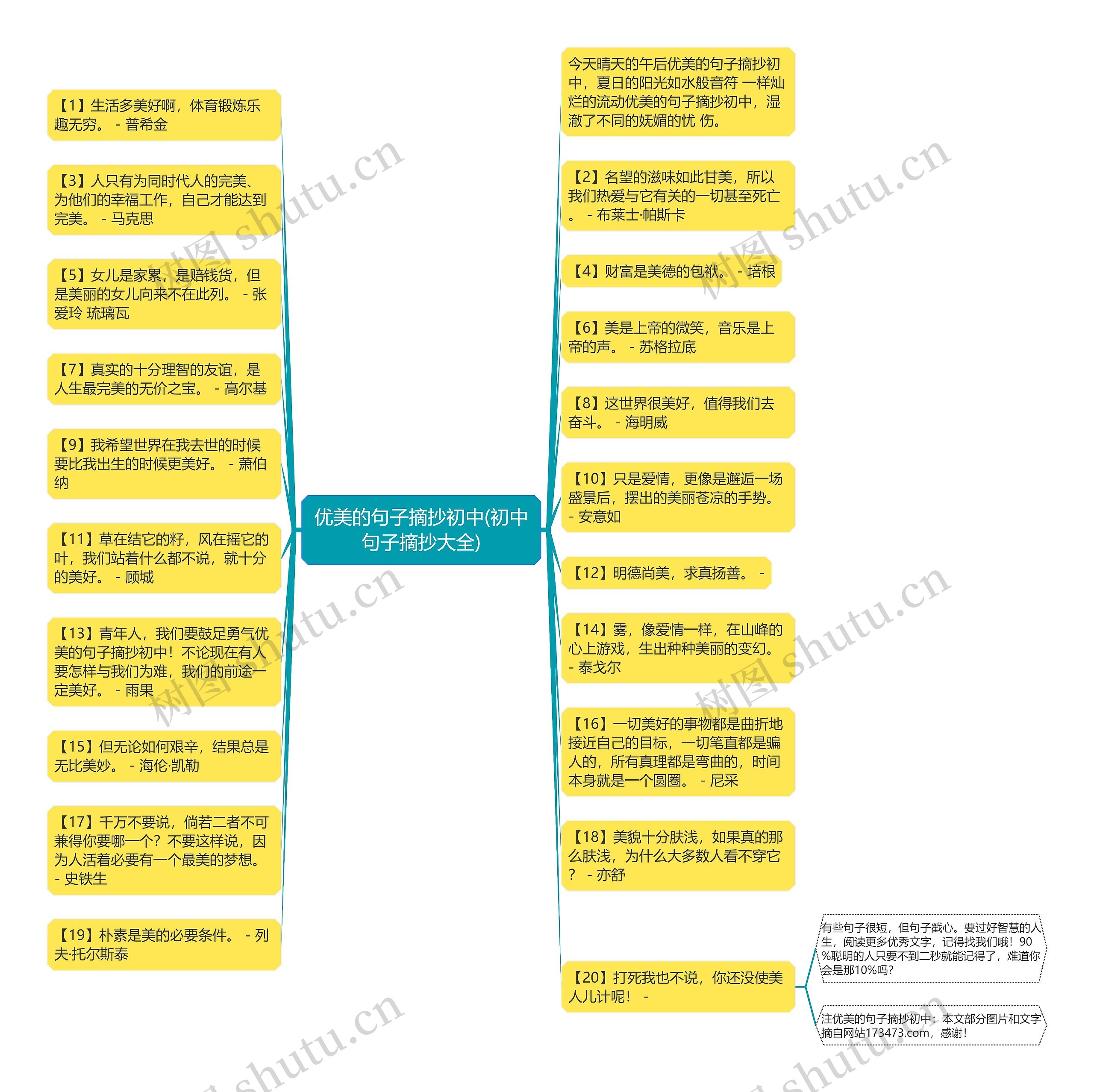 优美的句子摘抄初中(初中句子摘抄大全)思维导图