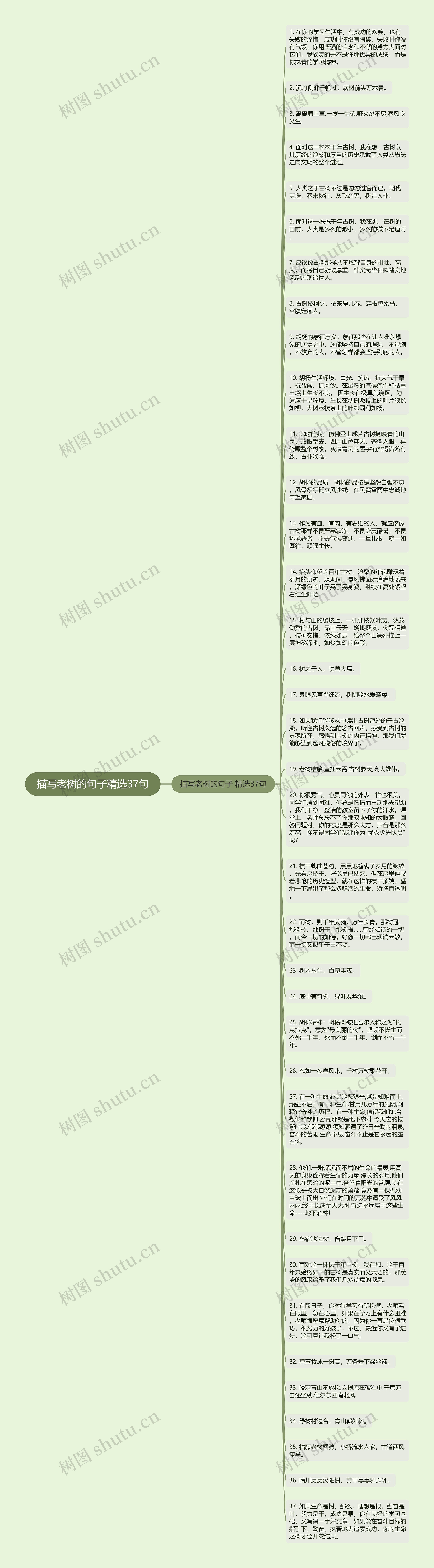 描写老树的句子精选37句