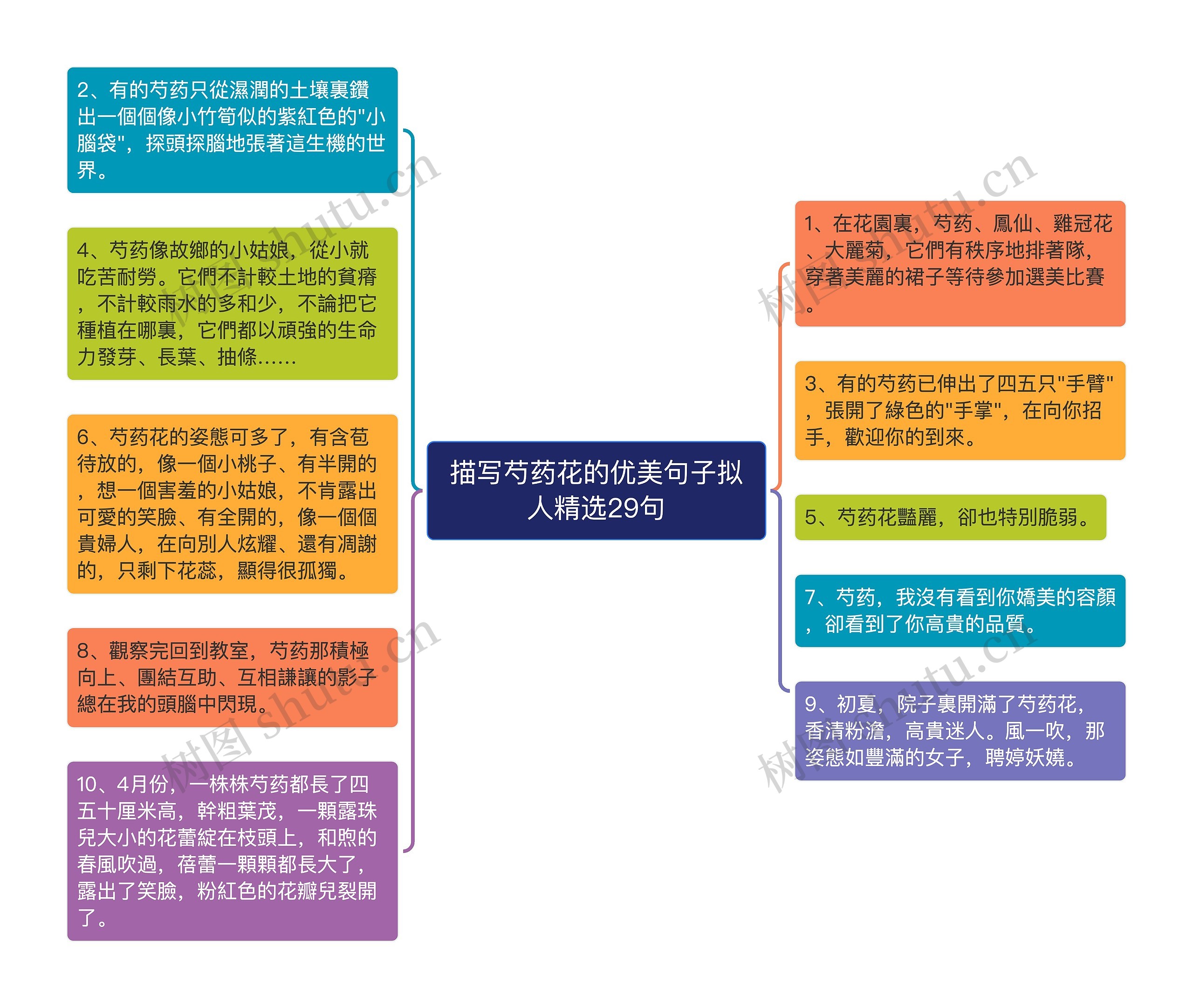 描写芍药花的优美句子拟人精选29句思维导图