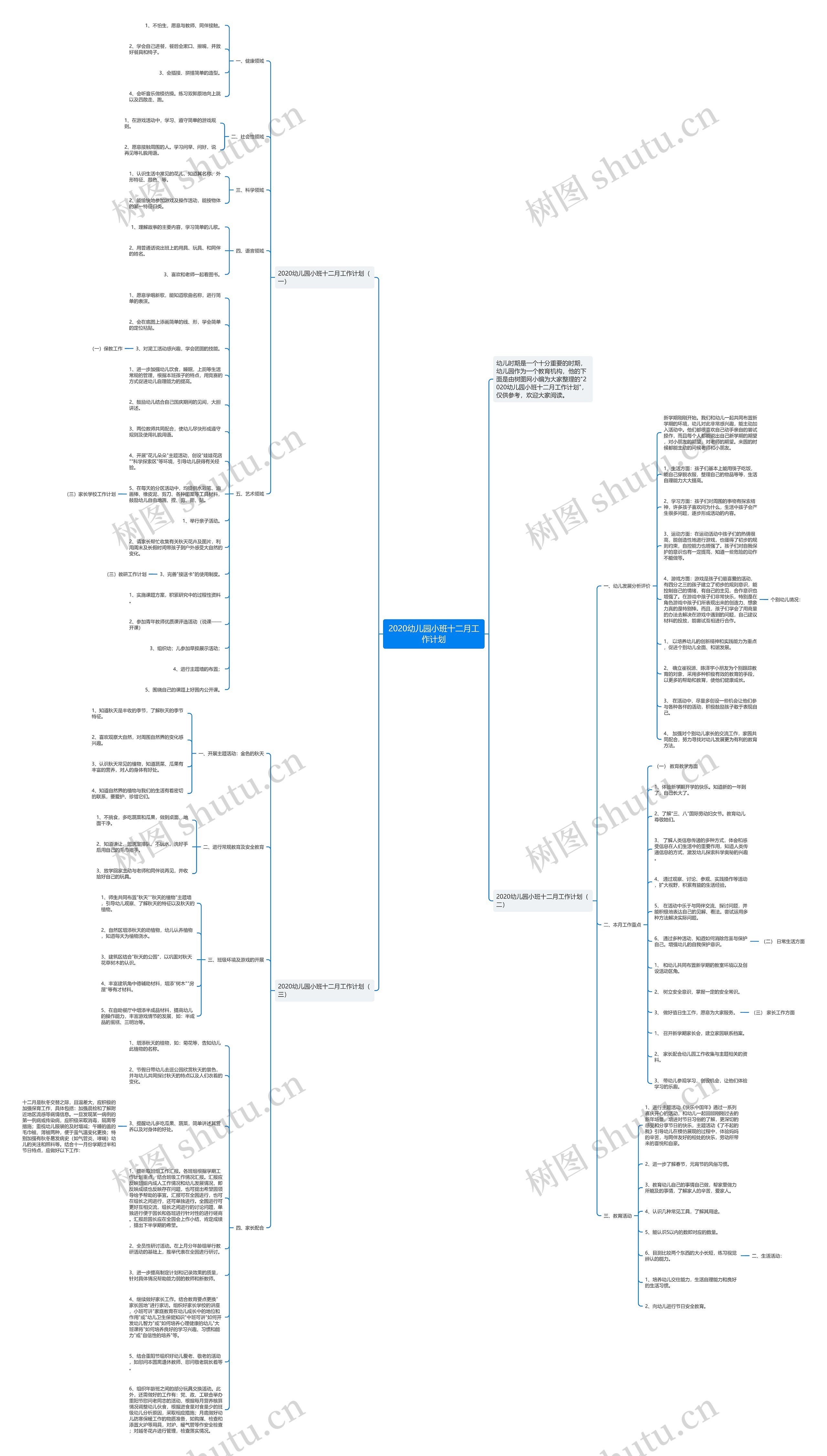 2020幼儿园小班十二月工作计划思维导图