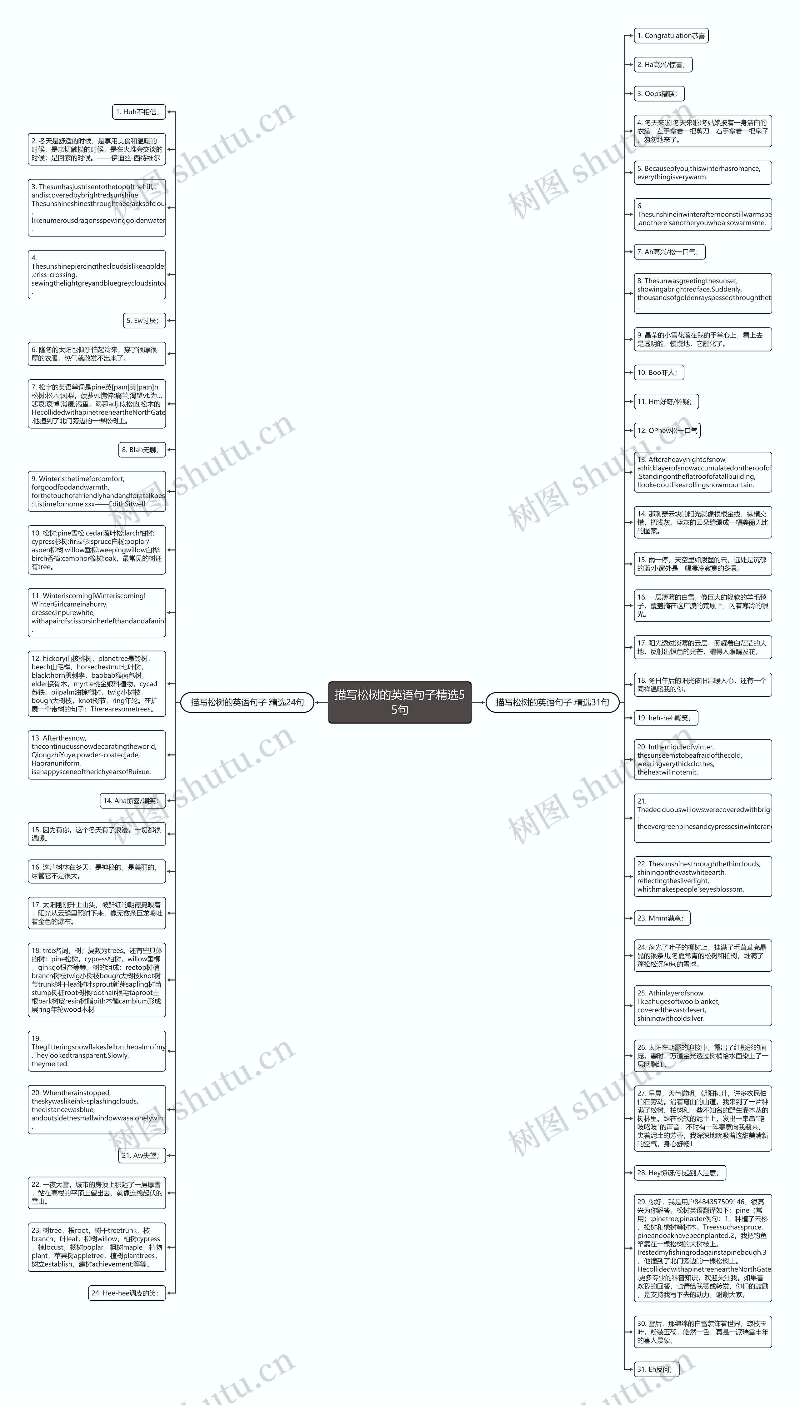 描写松树的英语句子精选55句思维导图