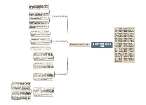 最新试用期财务会计工作计划