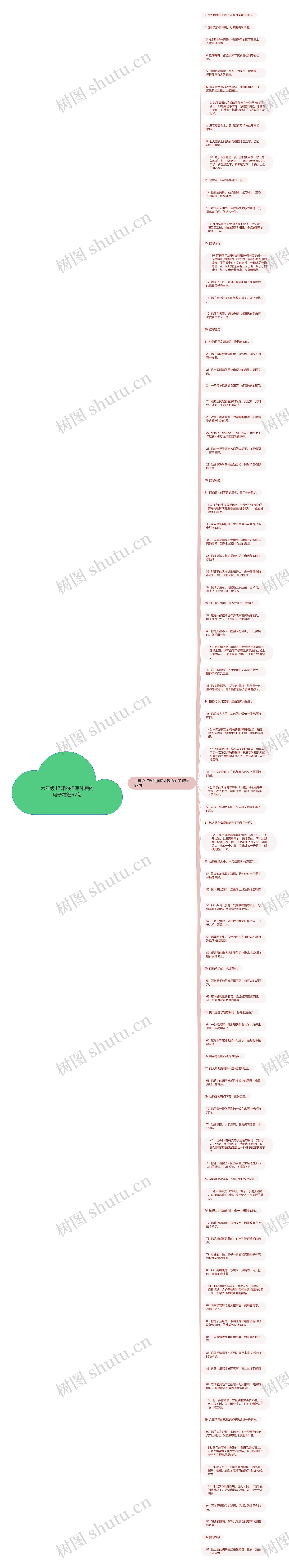 六年级17课的描写外貌的句子精选97句思维导图