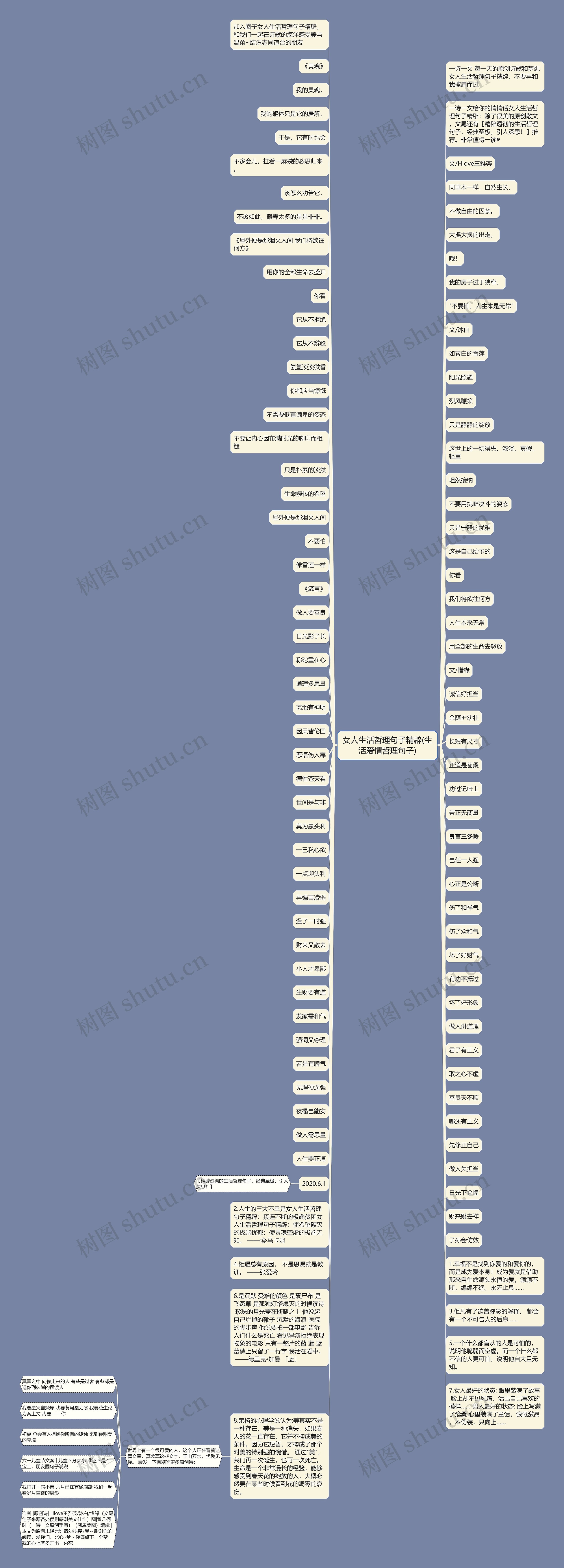 女人生活哲理句子精辟(生活爱情哲理句子)思维导图
