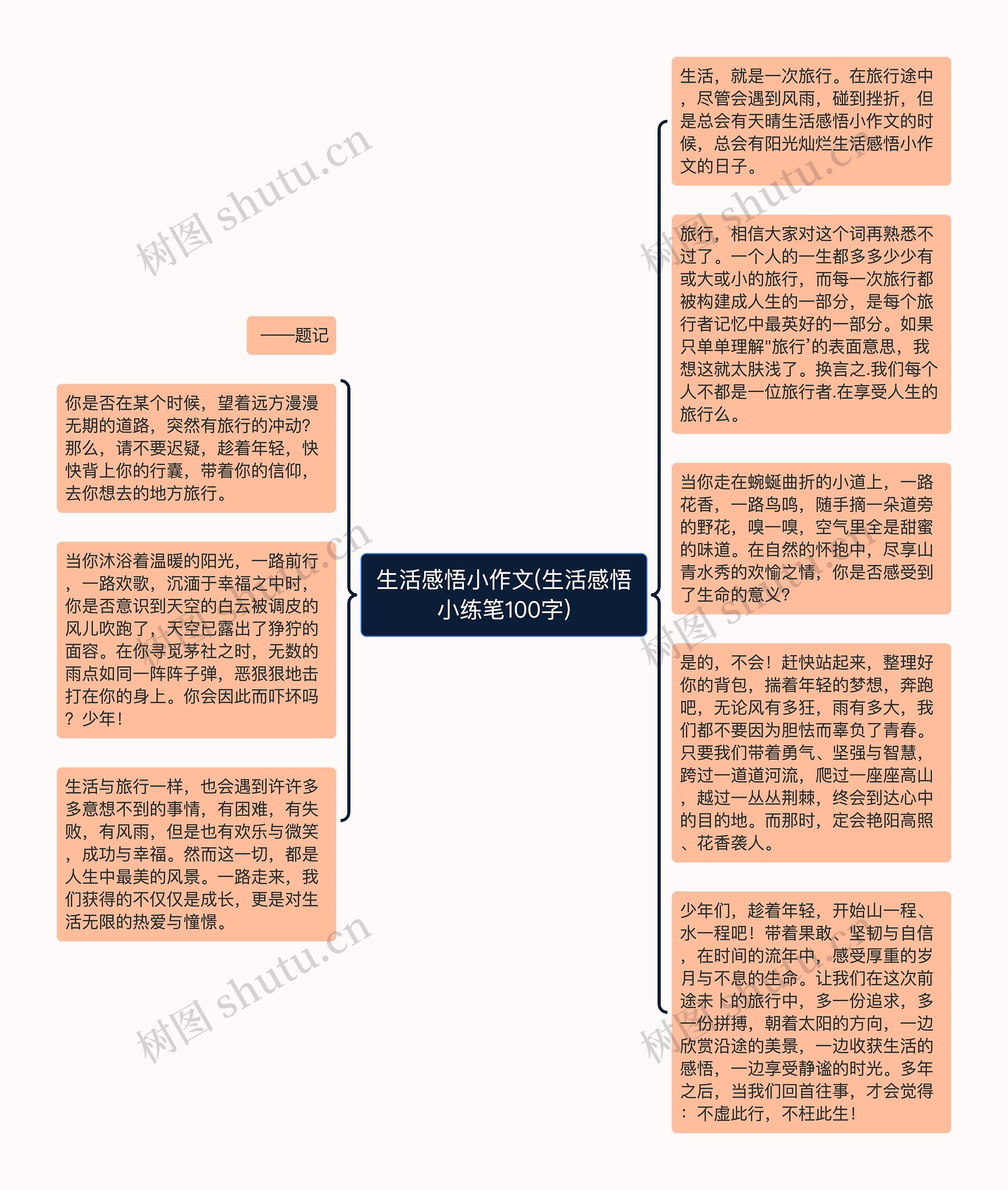 生活感悟小作文(生活感悟小练笔100字)