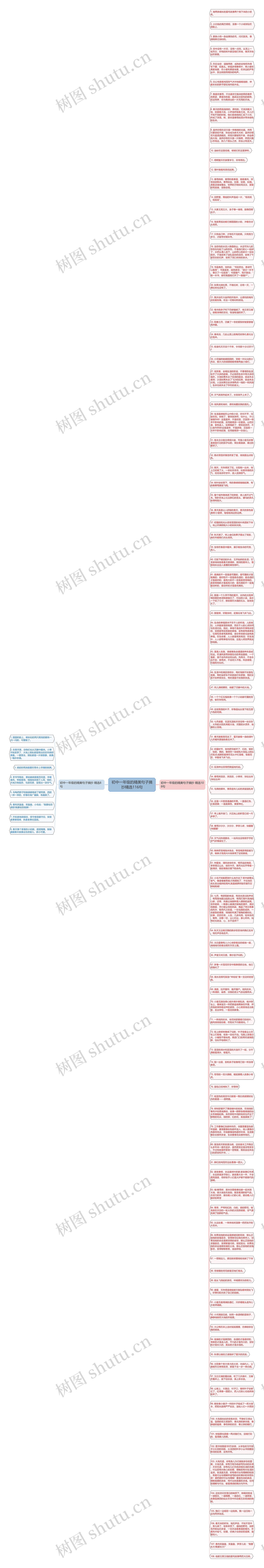 初中一年级的精美句子摘抄精选116句思维导图