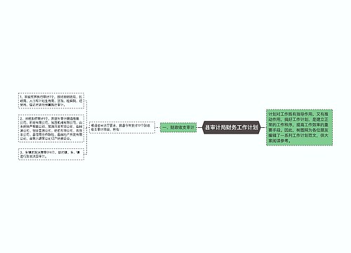 县审计局财务工作计划