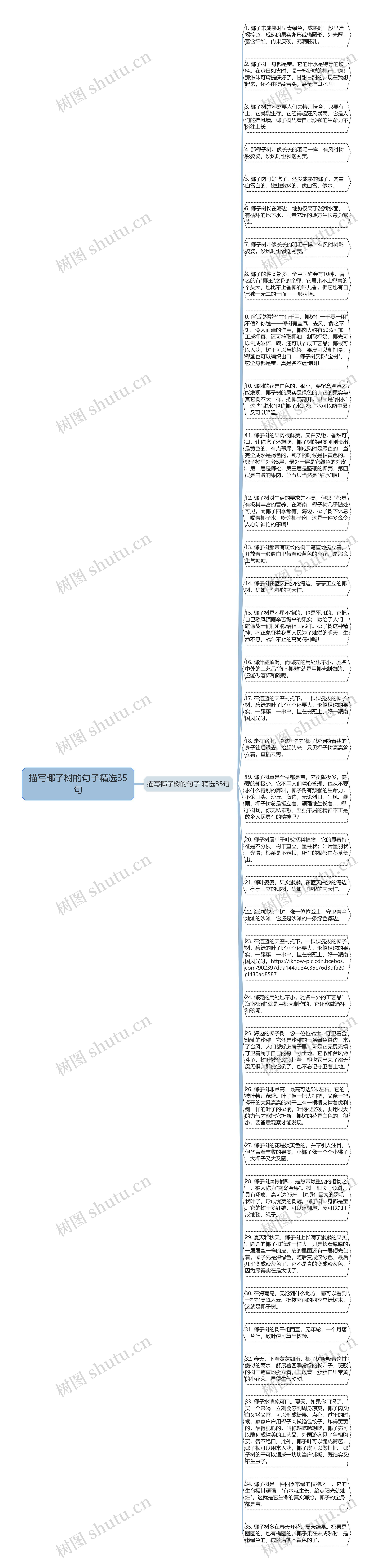 描写椰子树的句子精选35句