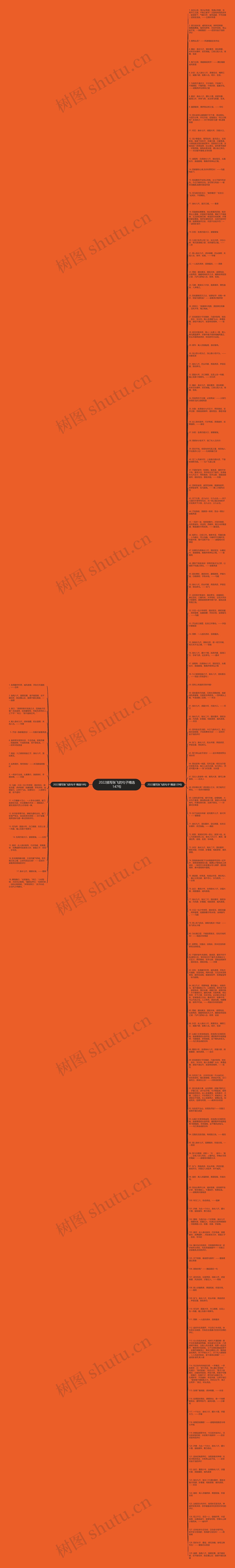 2022描写张飞的句子精选147句思维导图
