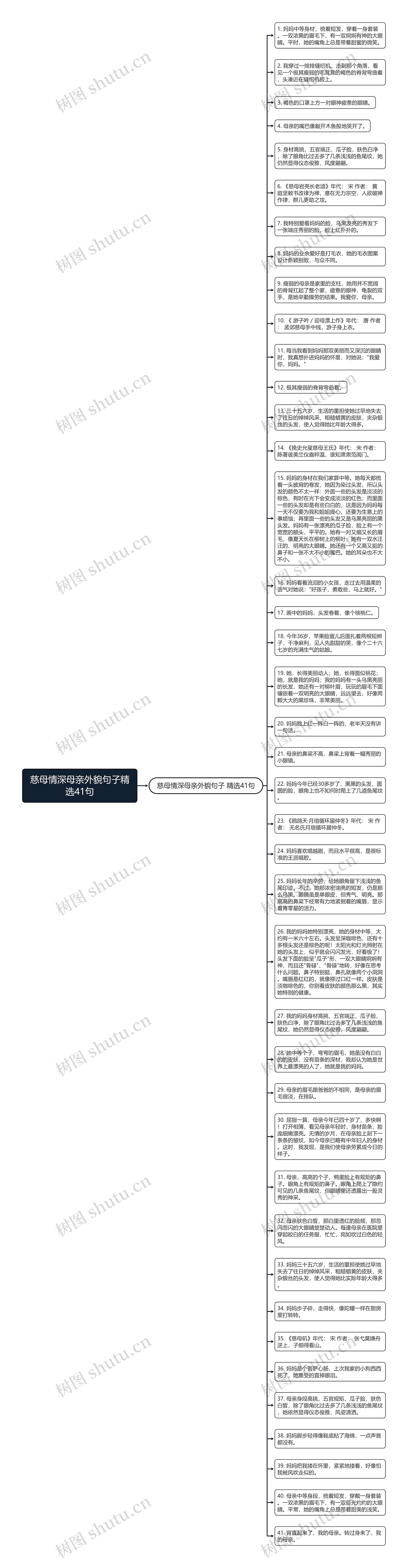 慈母情深母亲外貌句子精选41句思维导图