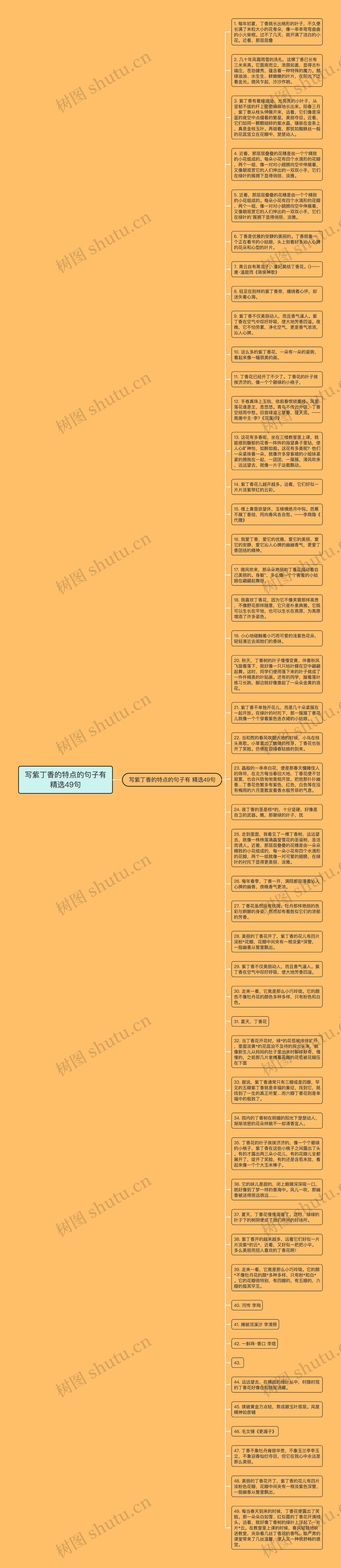 写紫丁香的特点的句子有精选49句思维导图