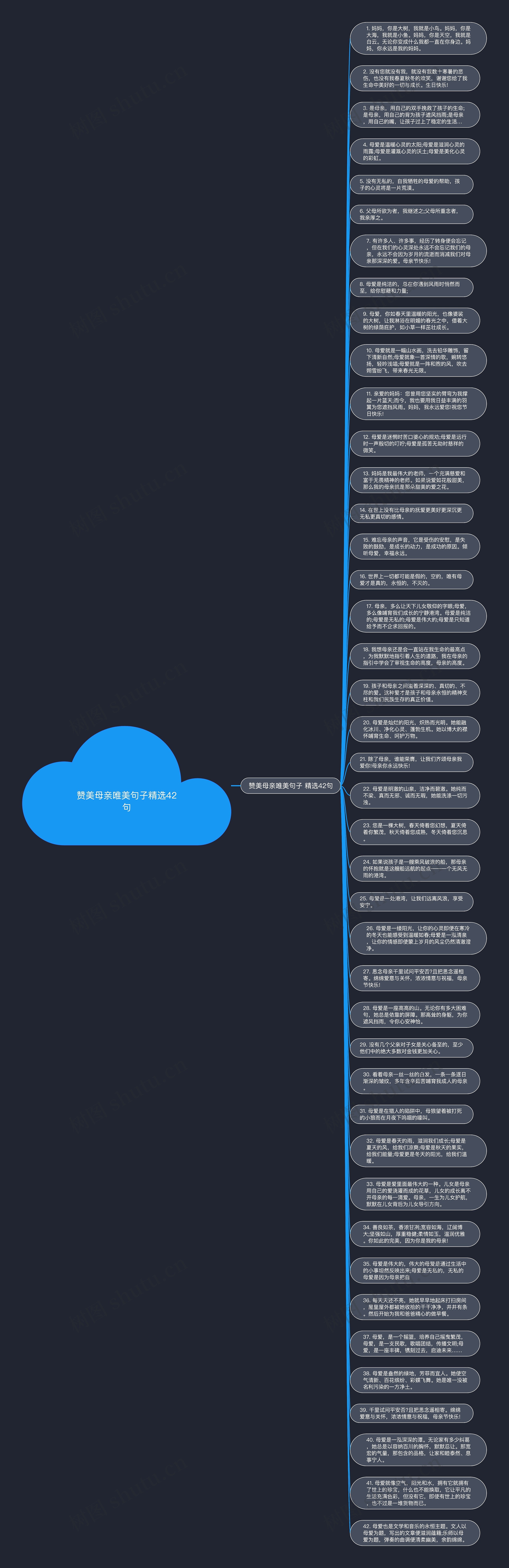 赞美母亲唯美句子精选42句思维导图