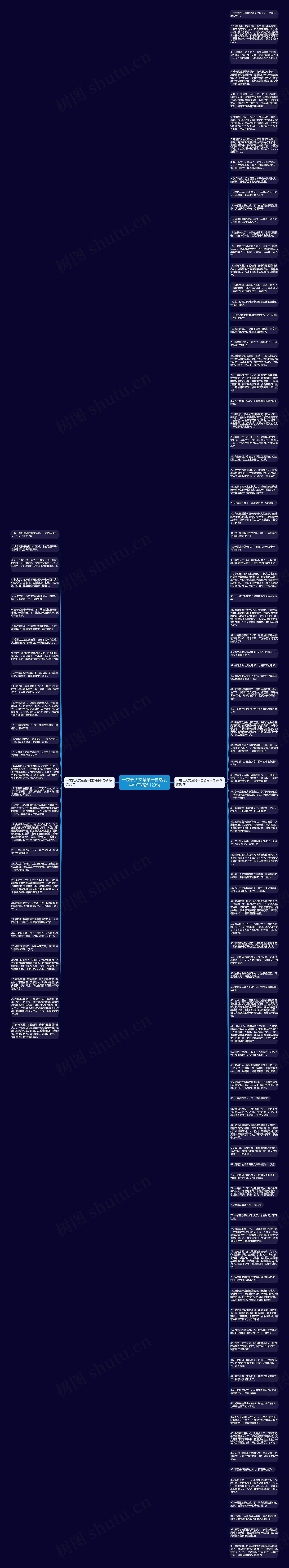 一夜长大文章第一自然段中句子精选123句思维导图