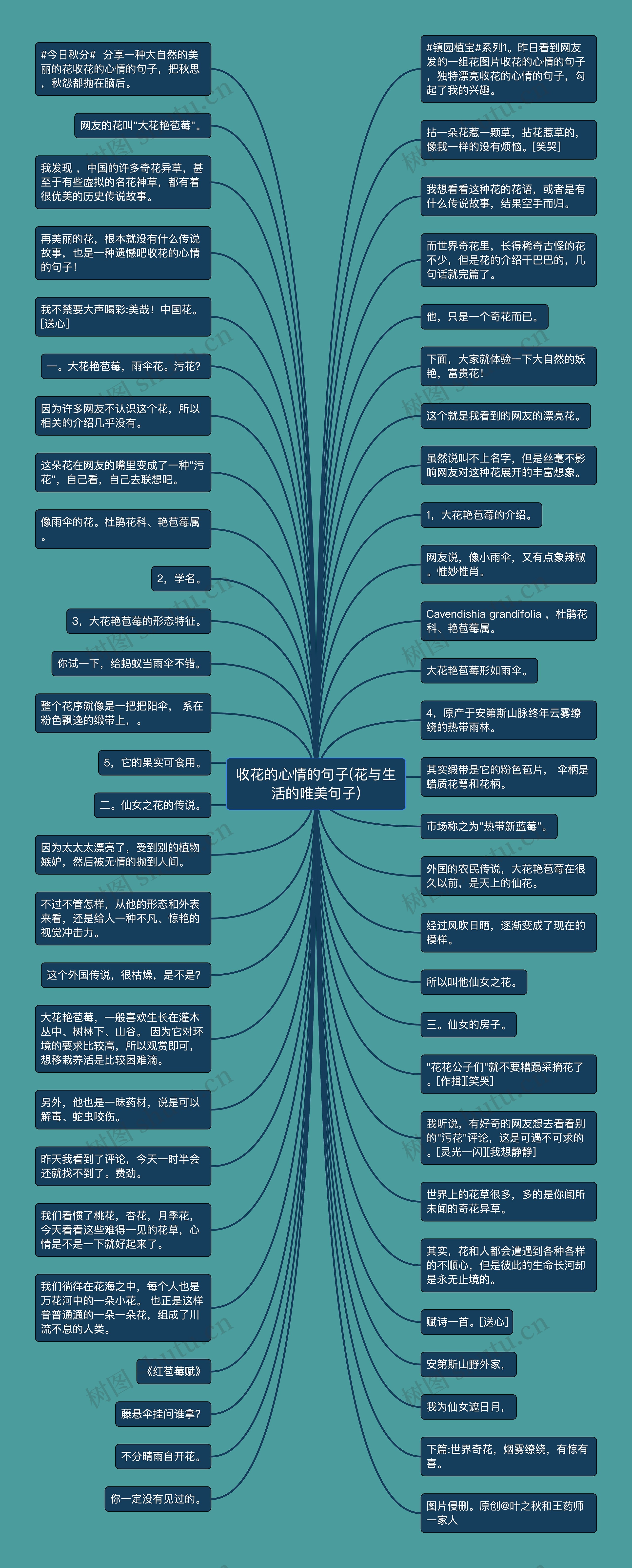 收花的心情的句子(花与生活的唯美句子)思维导图