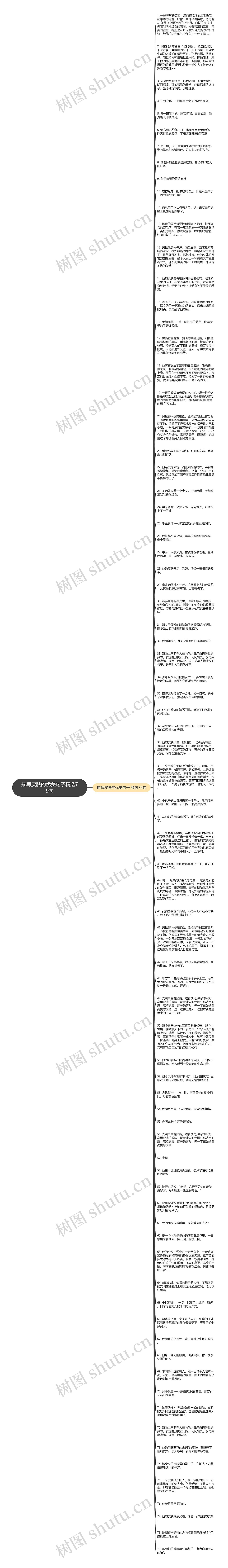 描写皮肤的优美句子精选79句思维导图