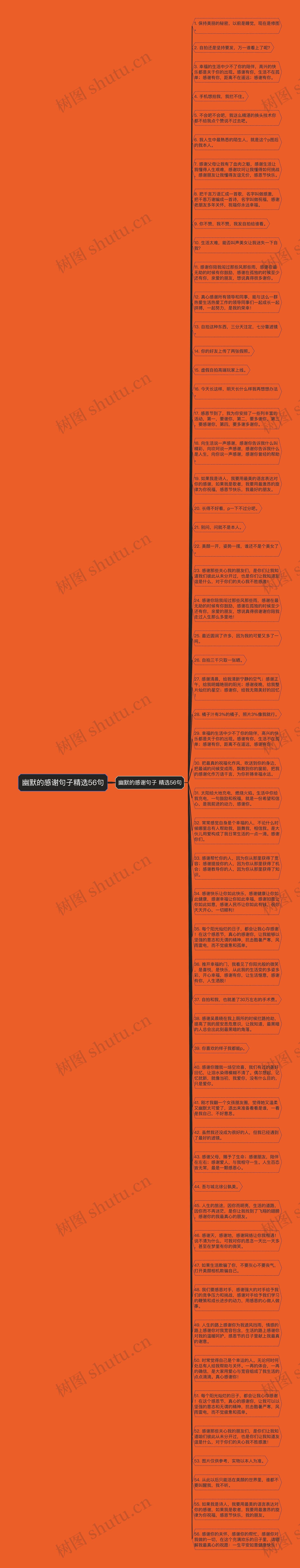 幽默的感谢句子精选56句思维导图