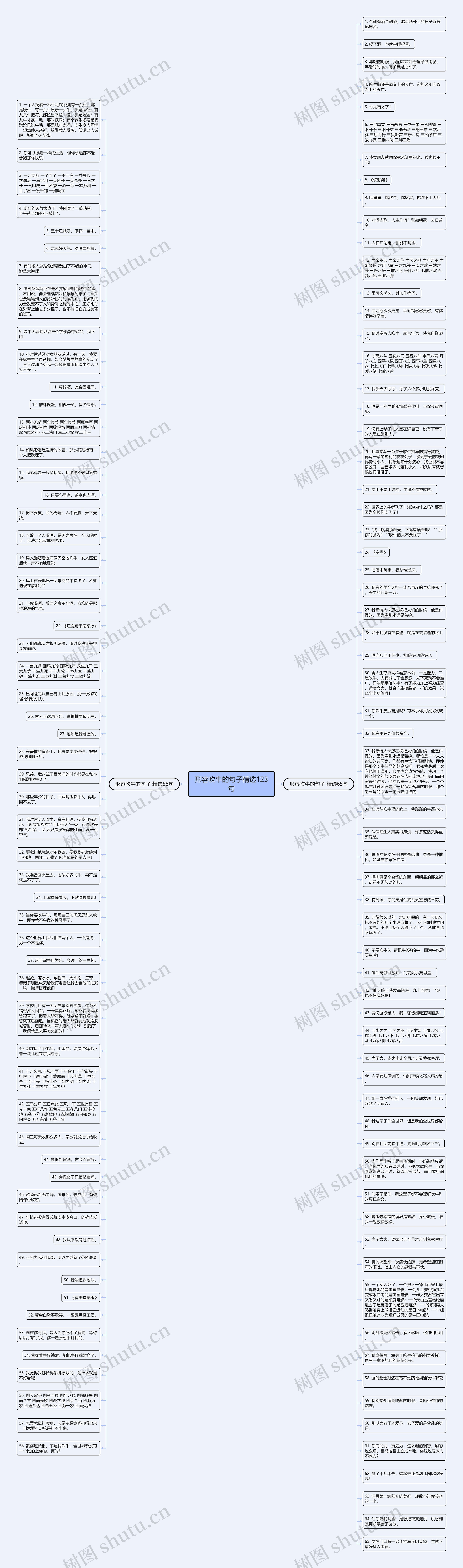 形容吹牛的句子精选123句思维导图