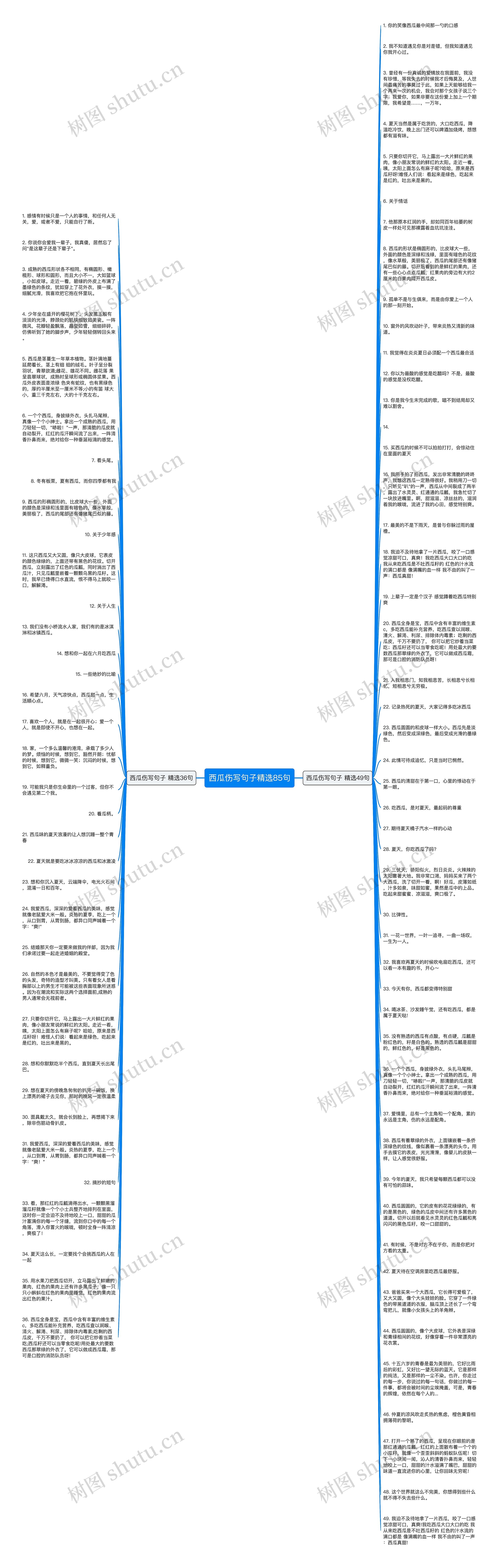 西瓜伤写句子精选85句思维导图