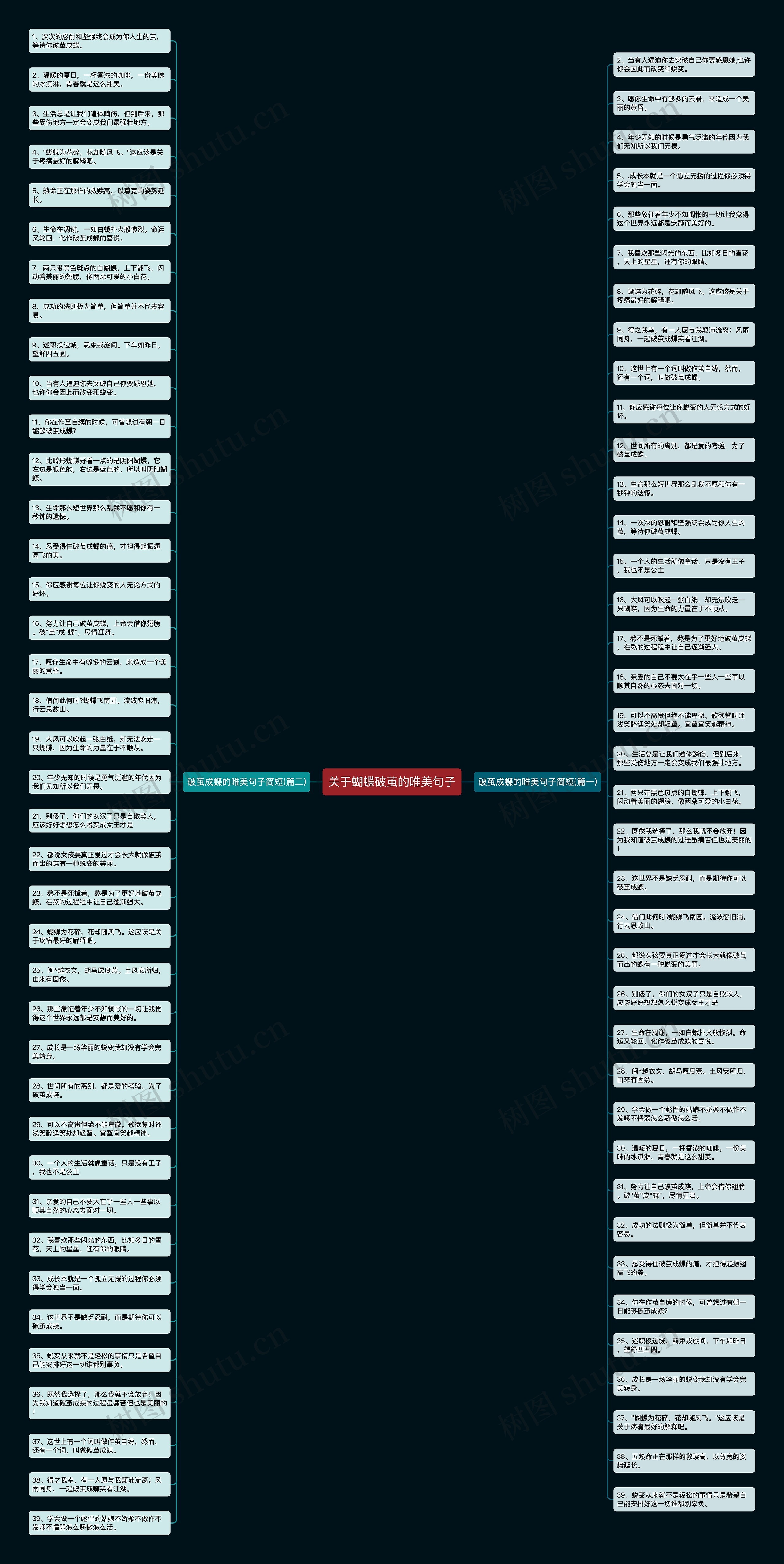 关于蝴蝶破茧的唯美句子思维导图