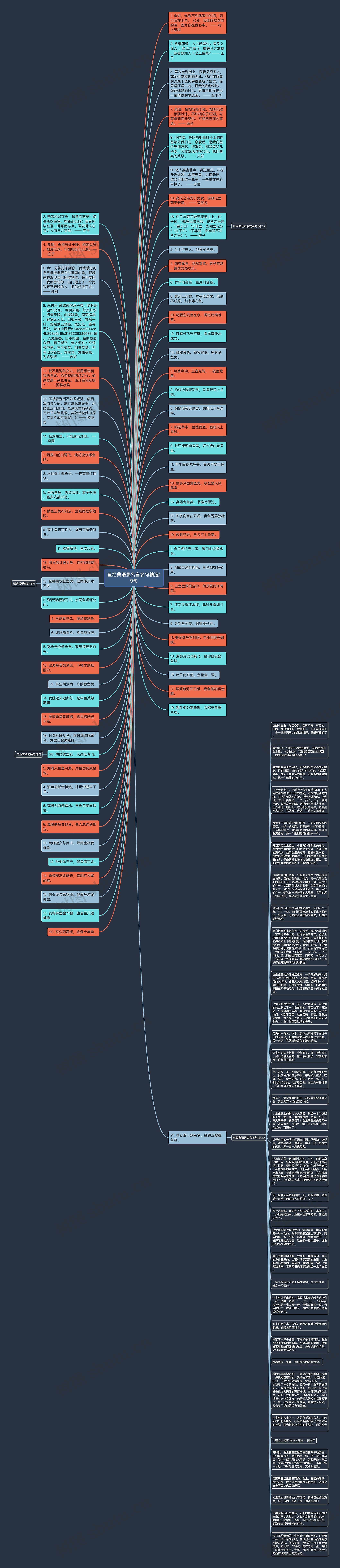 鱼经典语录名言名句精选19句思维导图