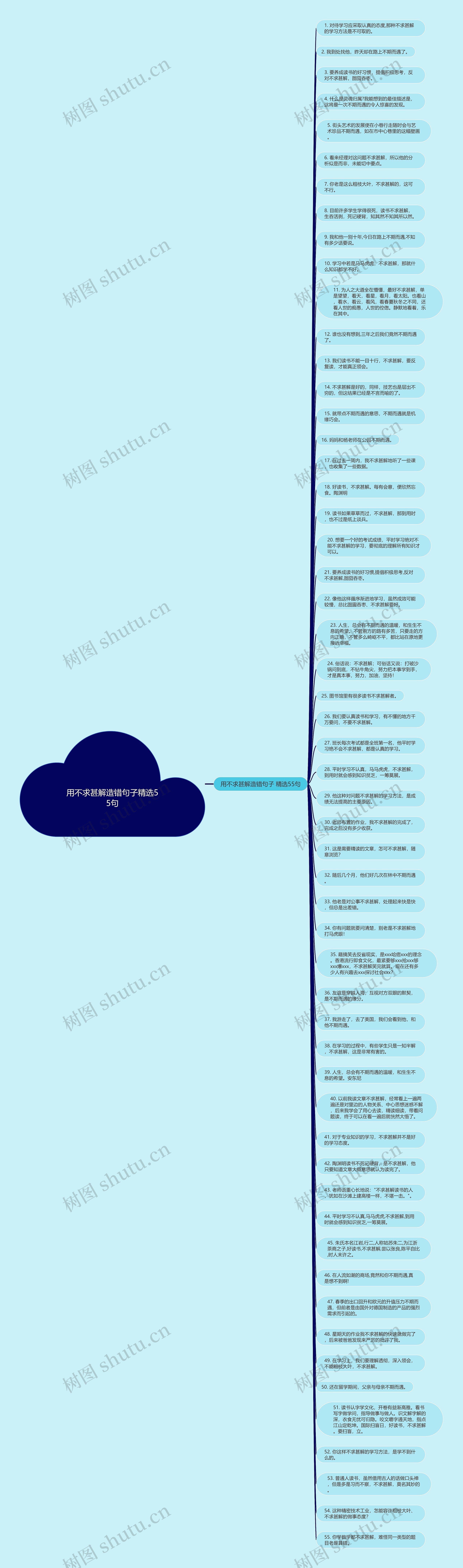 用不求甚解造错句子精选55句思维导图