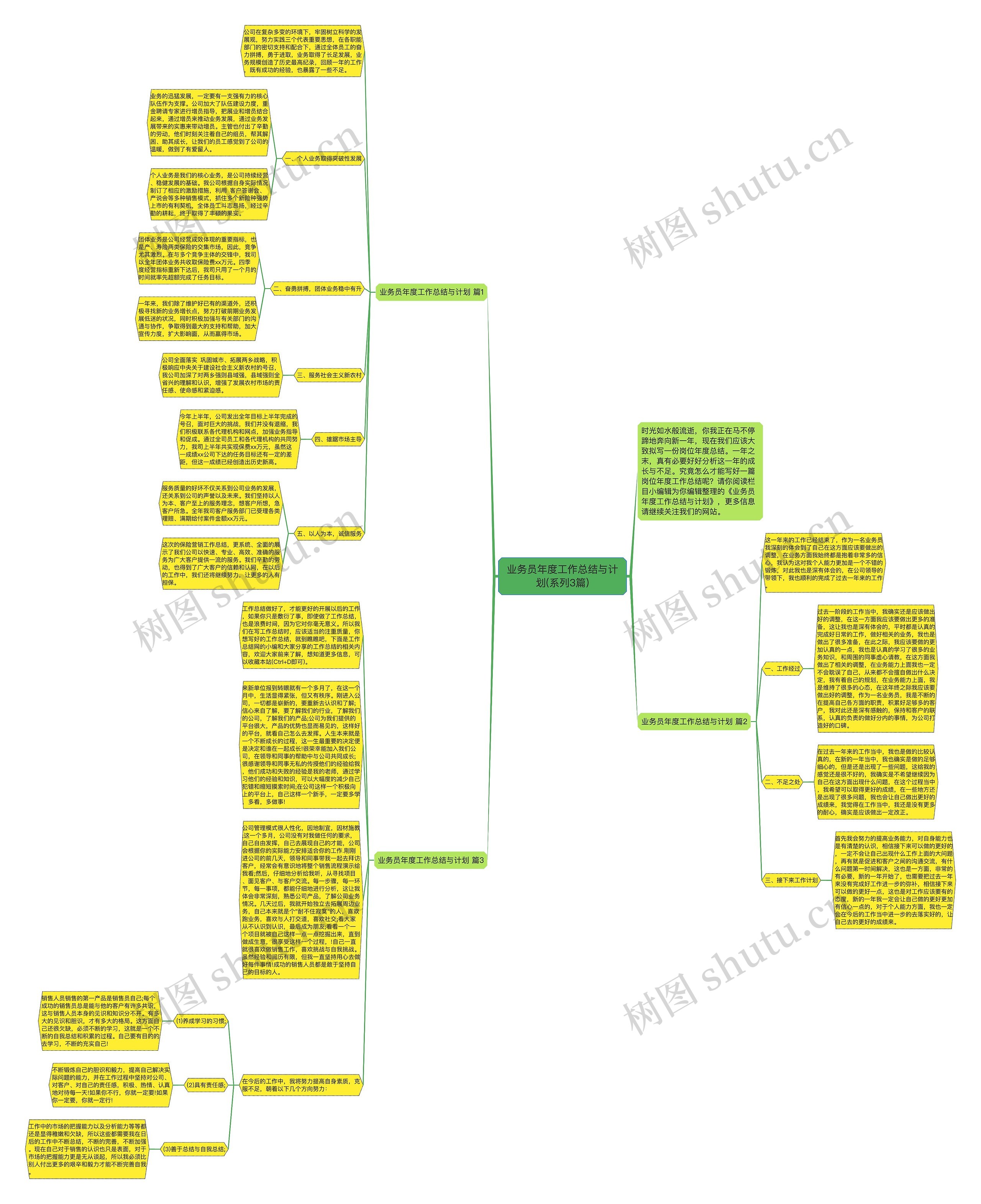 业务员年度工作总结与计划(系列3篇)思维导图