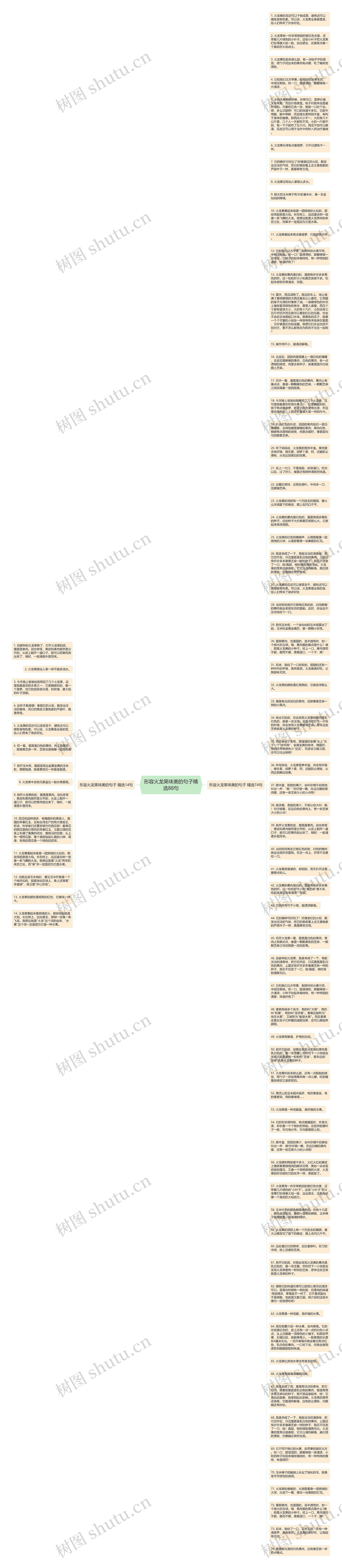 形容火龙果味美的句子精选88句思维导图