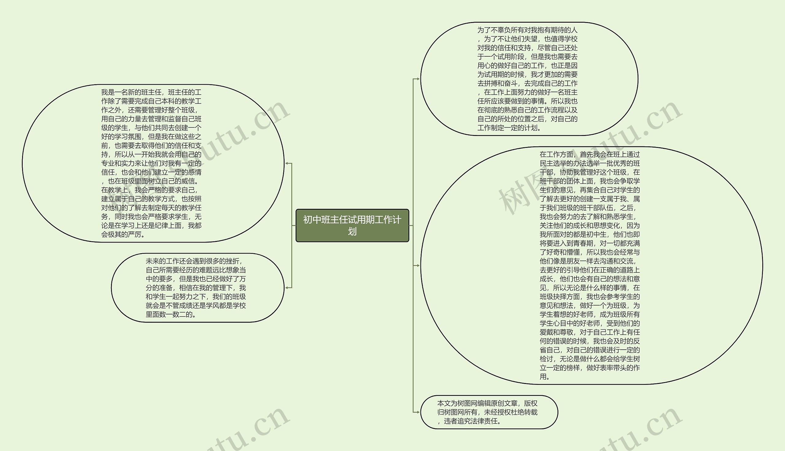 初中班主任试用期工作计划思维导图