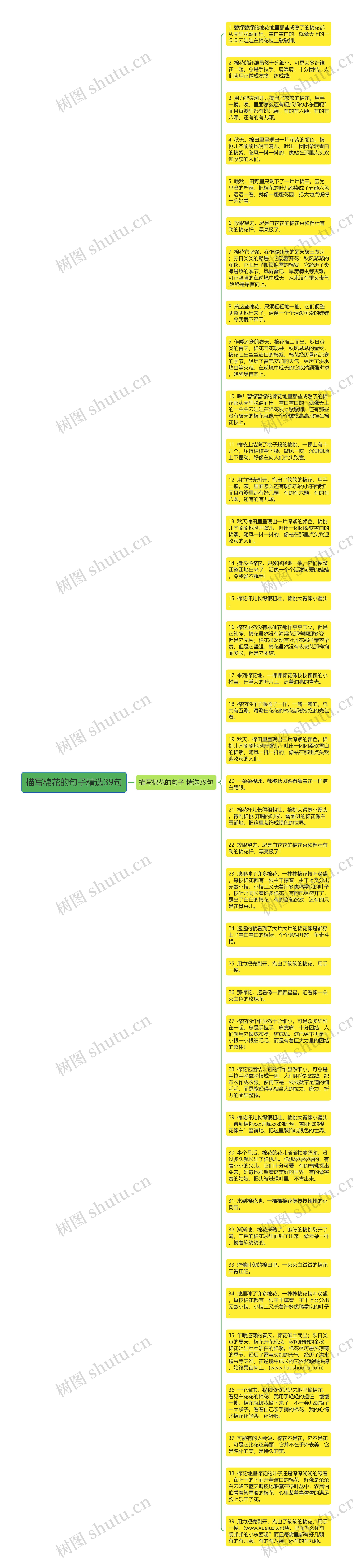 描写棉花的句子精选39句