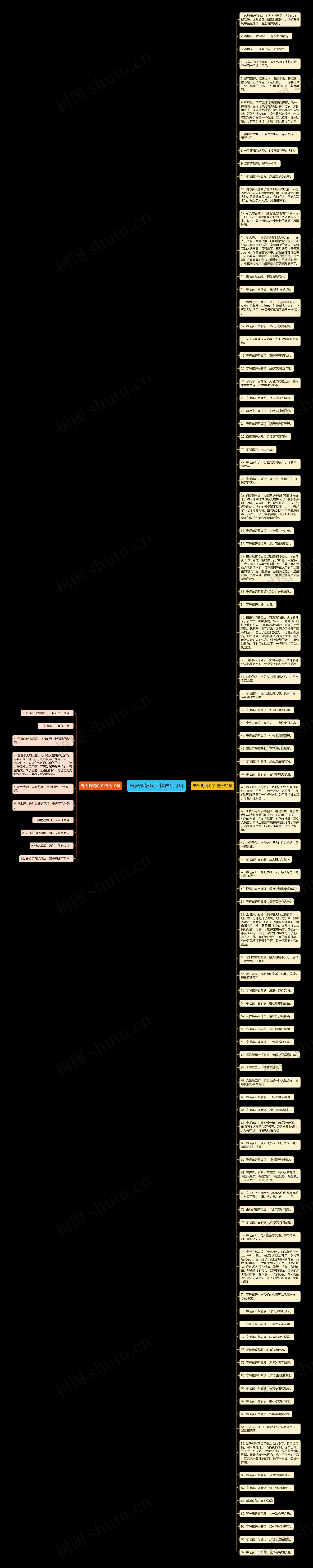 春光明媚句子精选102句思维导图