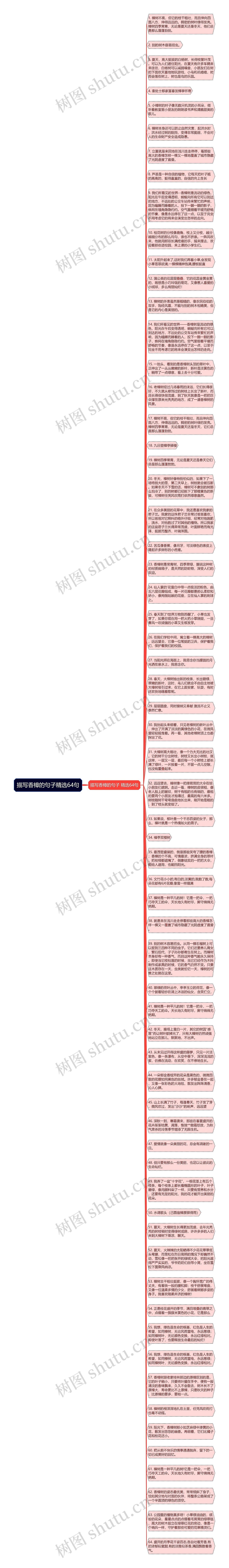 描写香樟的句子精选64句思维导图