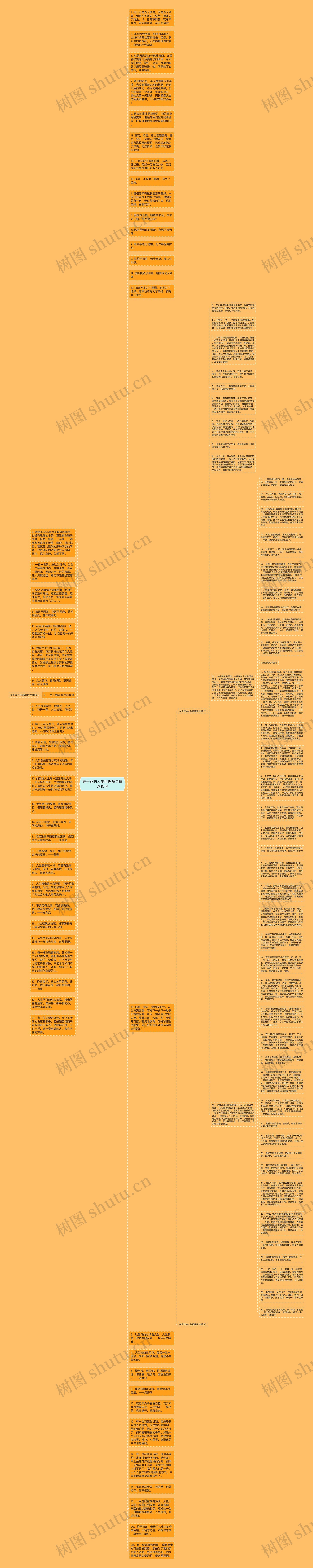 关于花的人生哲理短句精选15句思维导图