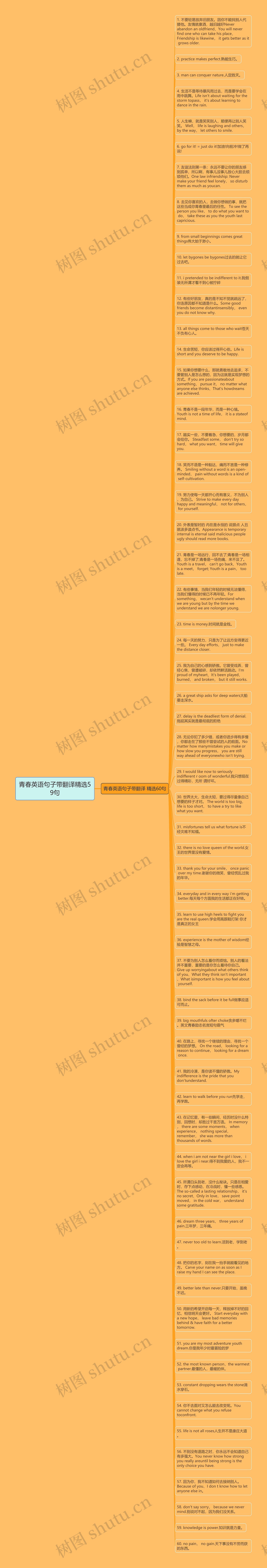 青春英语句子带翻译精选59句思维导图