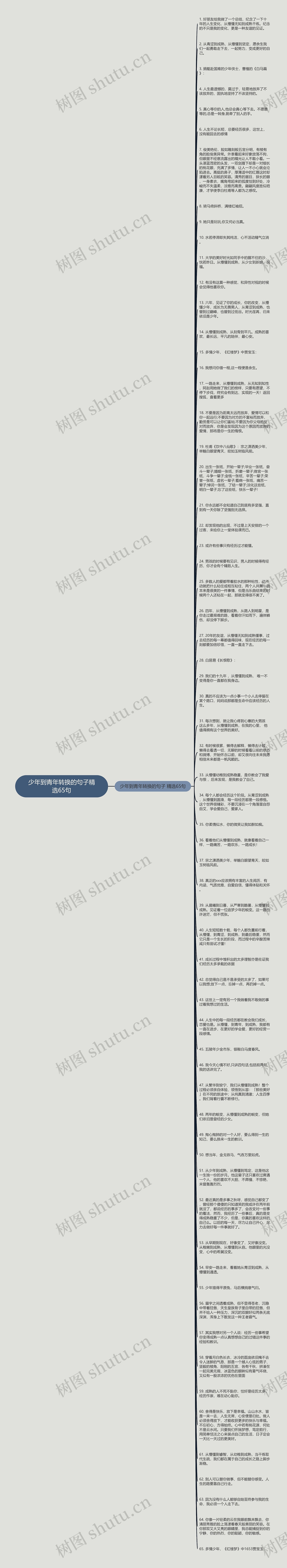 少年到青年转换的句子精选65句思维导图