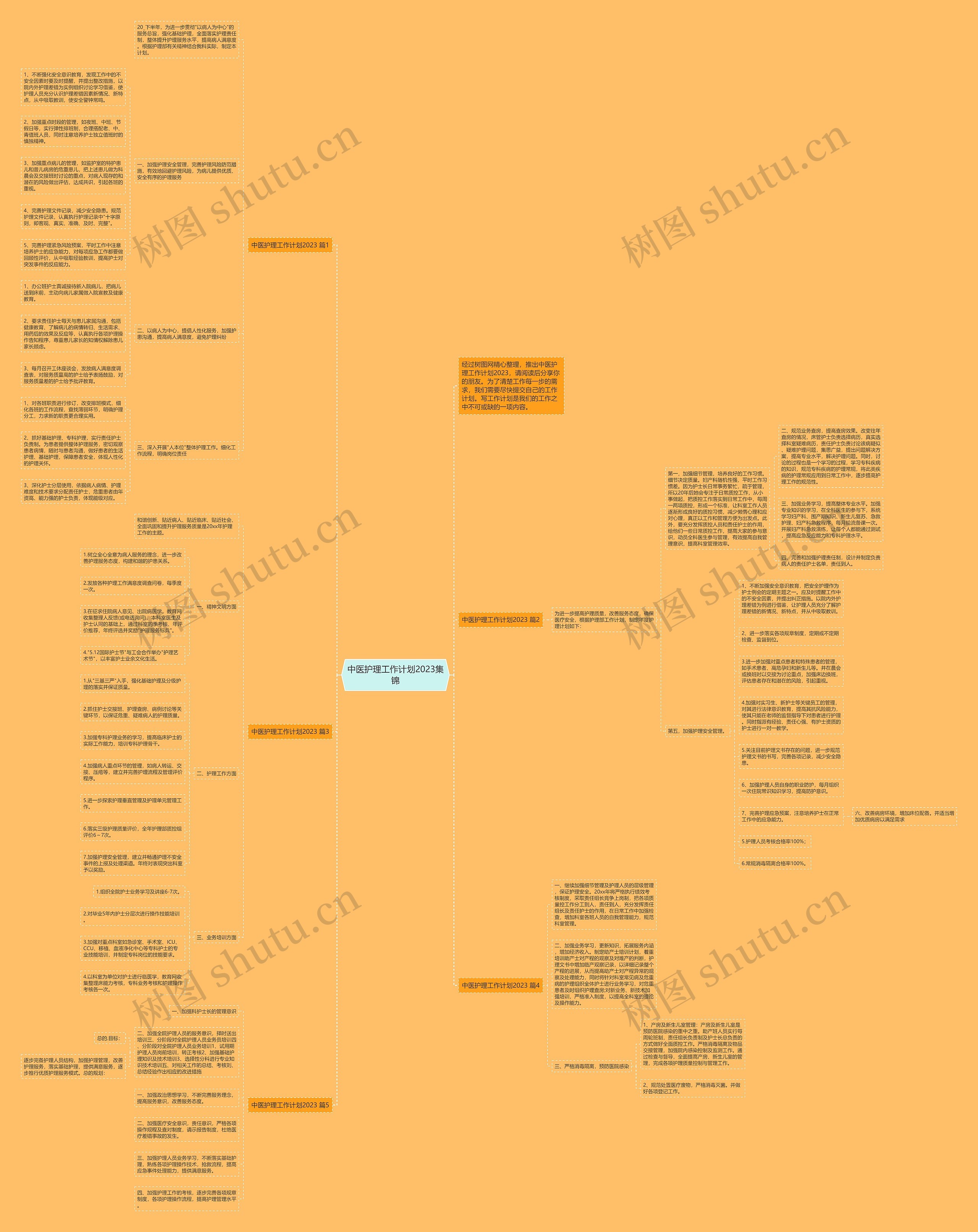 中医护理工作计划2023集锦思维导图