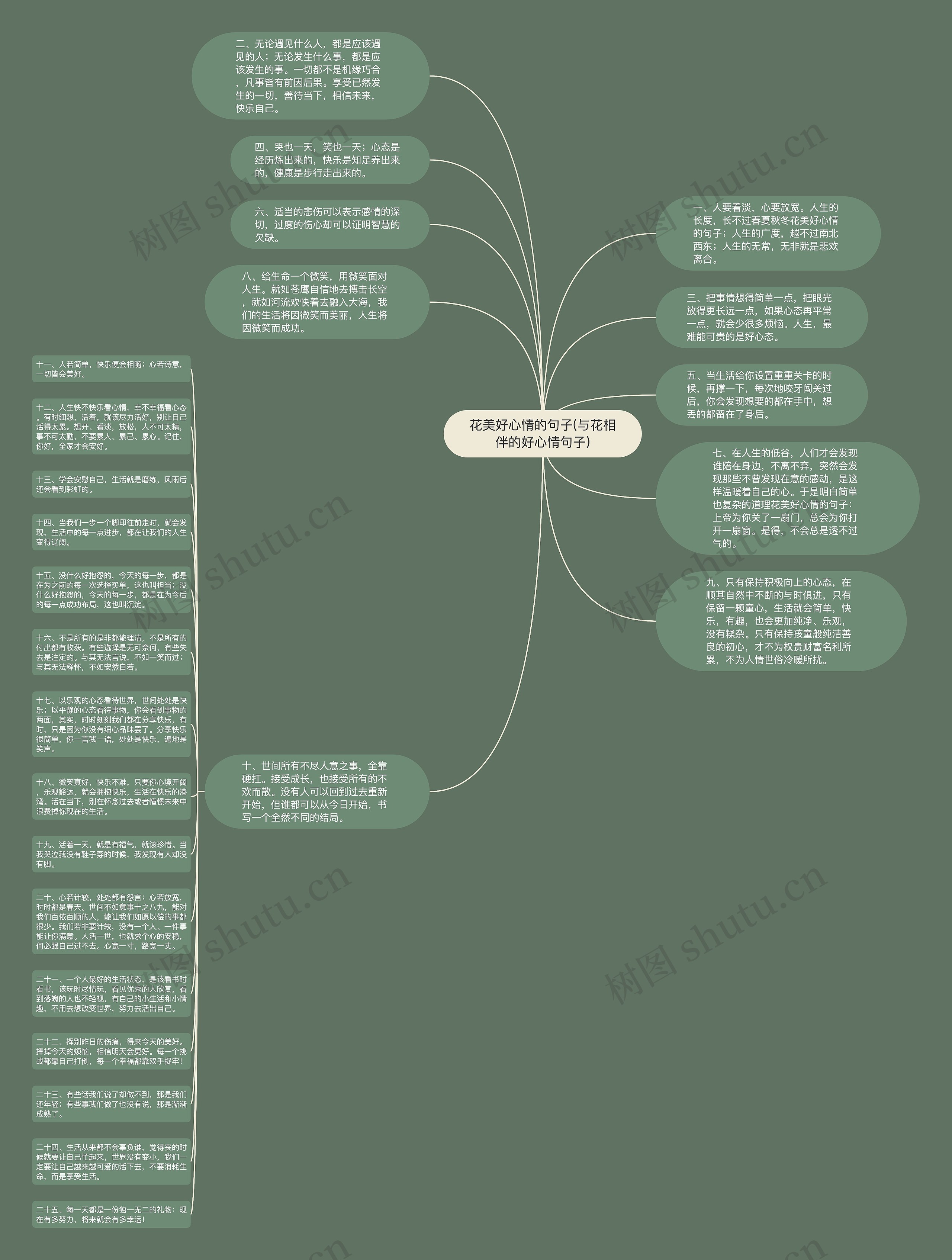 花美好心情的句子(与花相伴的好心情句子)思维导图