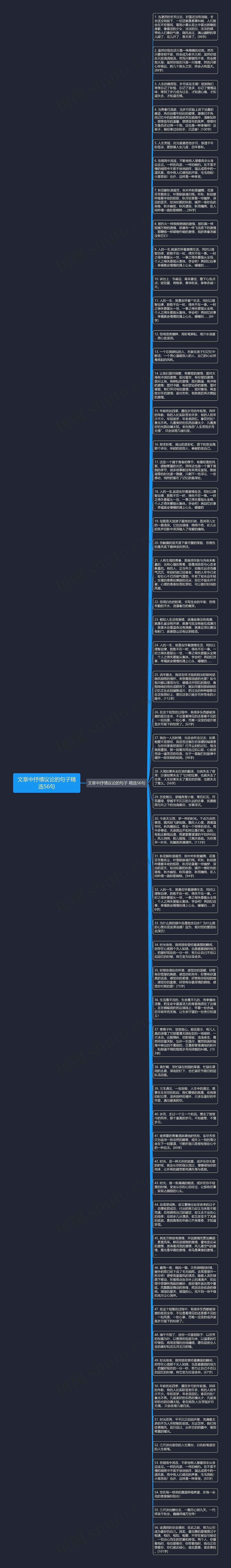 文章中抒情议论的句子精选56句思维导图