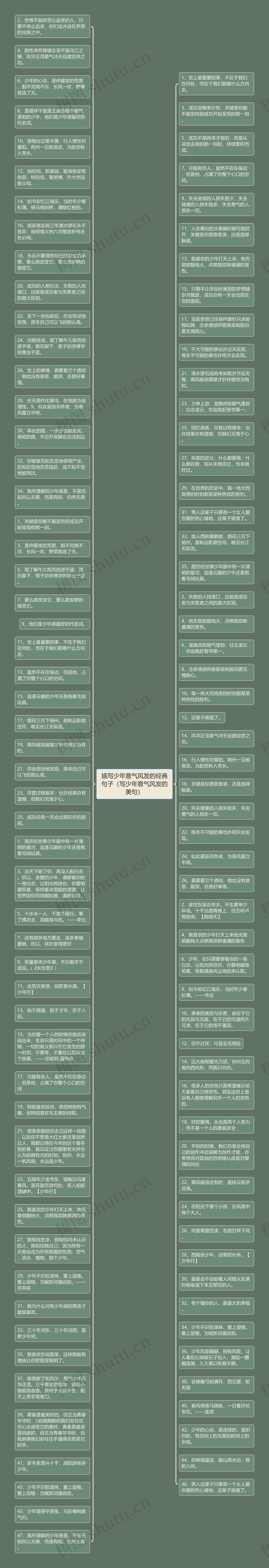 描写少年意气风发的经典句子（写少年意气风发的美句）