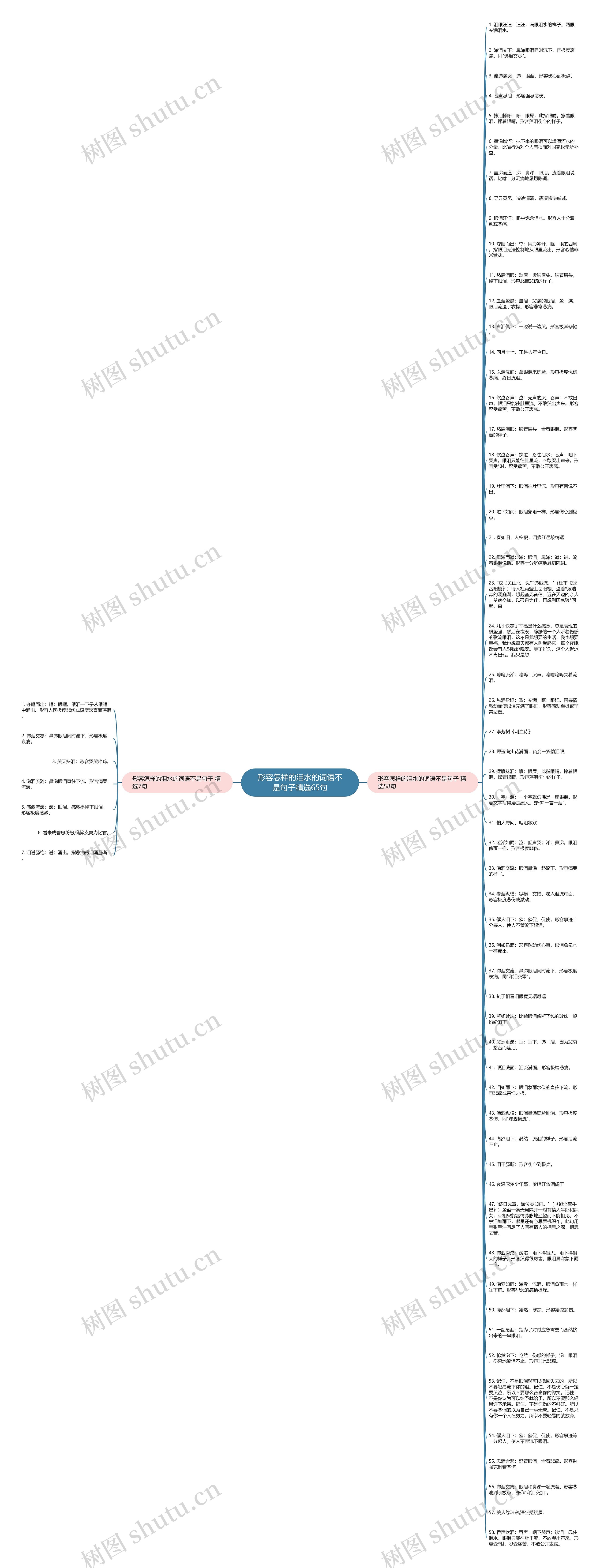 形容怎样的泪水的词语不是句子精选65句思维导图