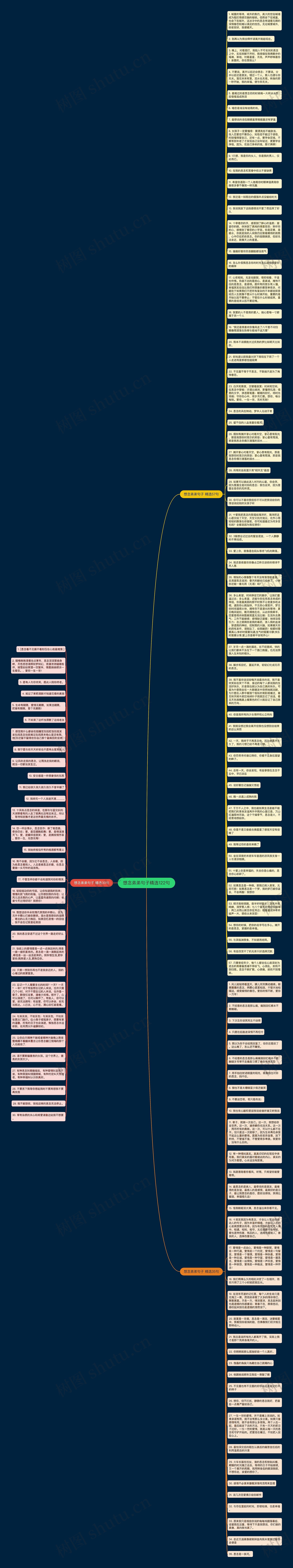 想念弟弟句子精选122句思维导图