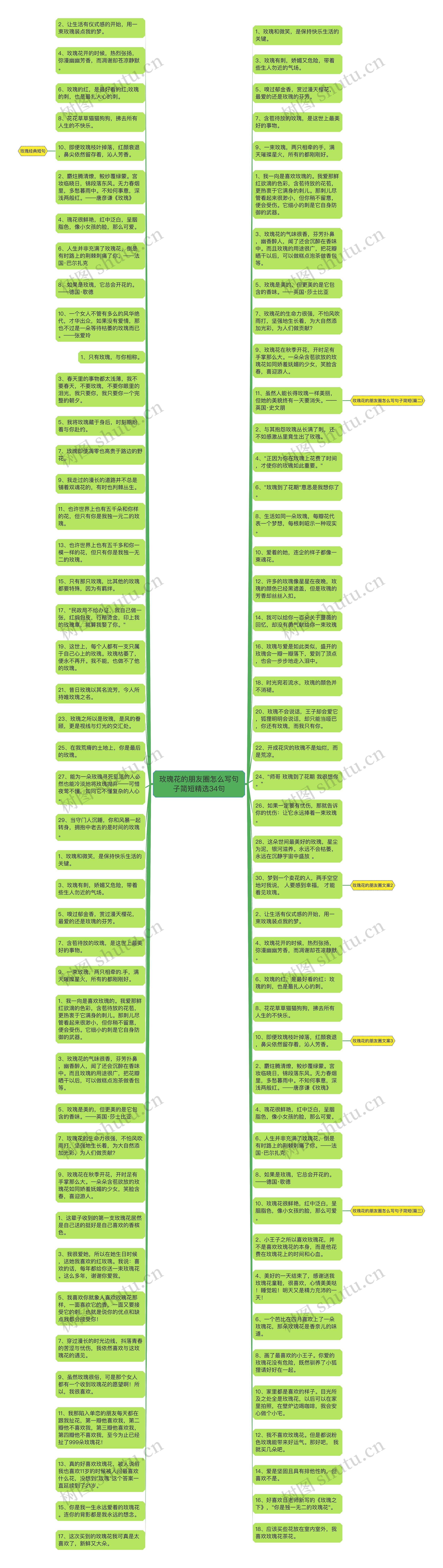 玫瑰花的朋友圈怎么写句子简短精选34句