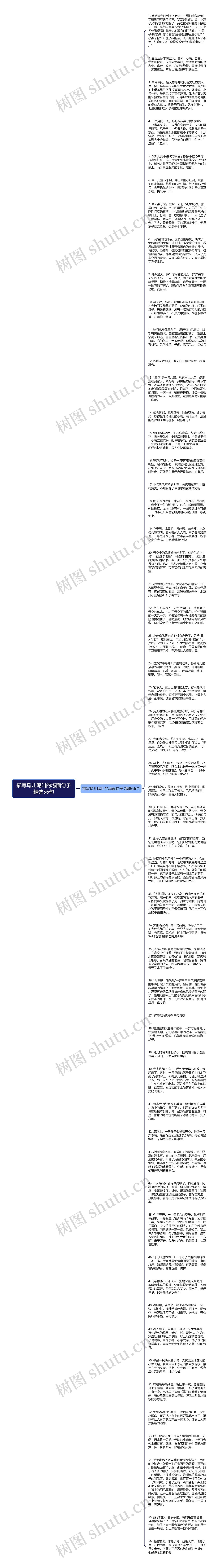 描写鸟儿鸣叫的场面句子精选56句思维导图