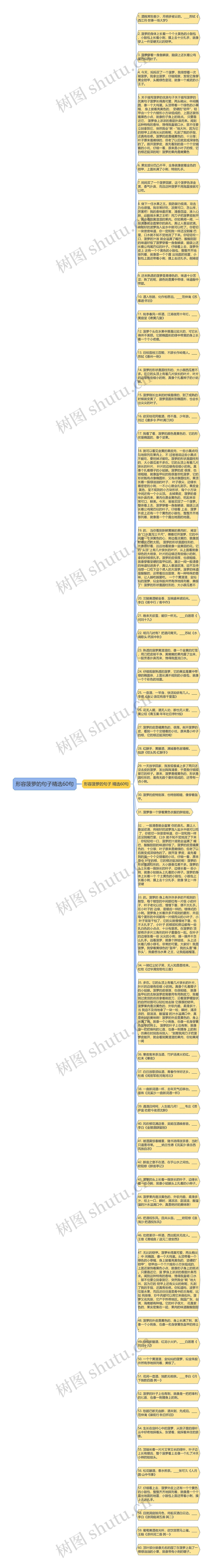 形容菠萝的句子精选60句思维导图